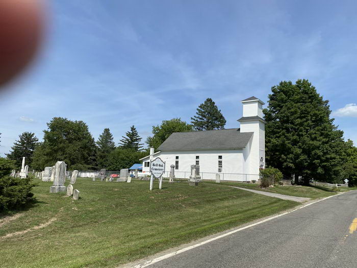 Bell Oak - July 2020 Photo Of Bell Oak (newer photo)